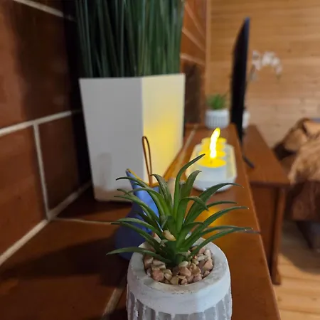 Dom wakacyjny Nad Narwią